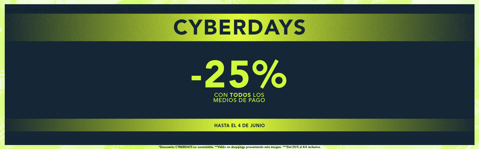 ciberlunes