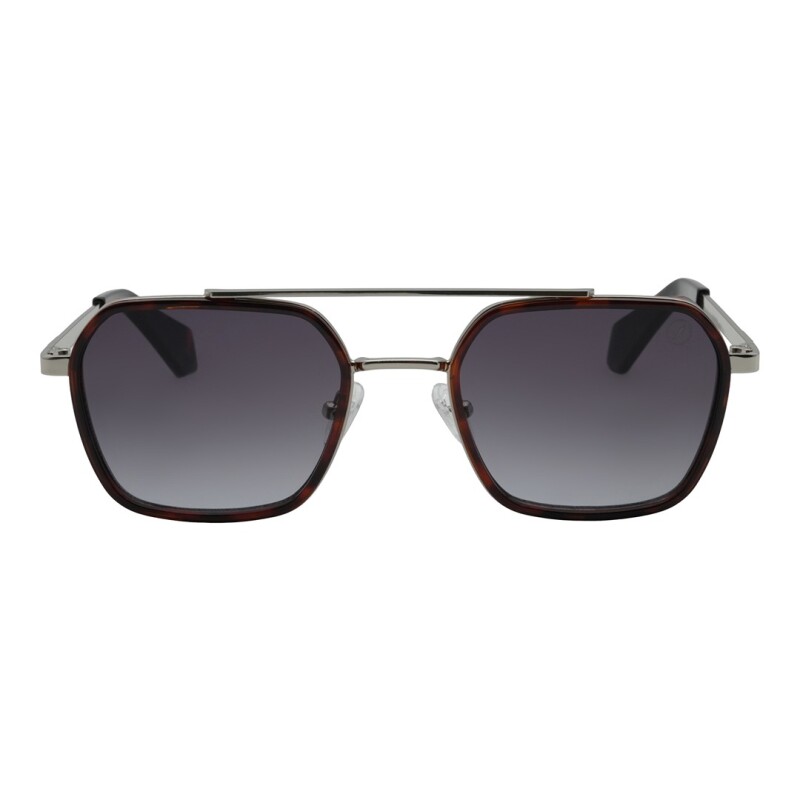 Lentes de Sol Chilli Beans Dakota Animal Print