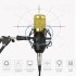Microfono Condensador Kit Grabación Brazo Articulado Youtuber Gamer Pro Usb Imback Color Dorado Microfono Condensador Kit Grabación Brazo Articulado Youtuber Gamer Pro Usb Imback Color Dorado