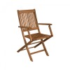 Silla Plegable con apoyabrazos Eucalipto - Ipanema Nogueira