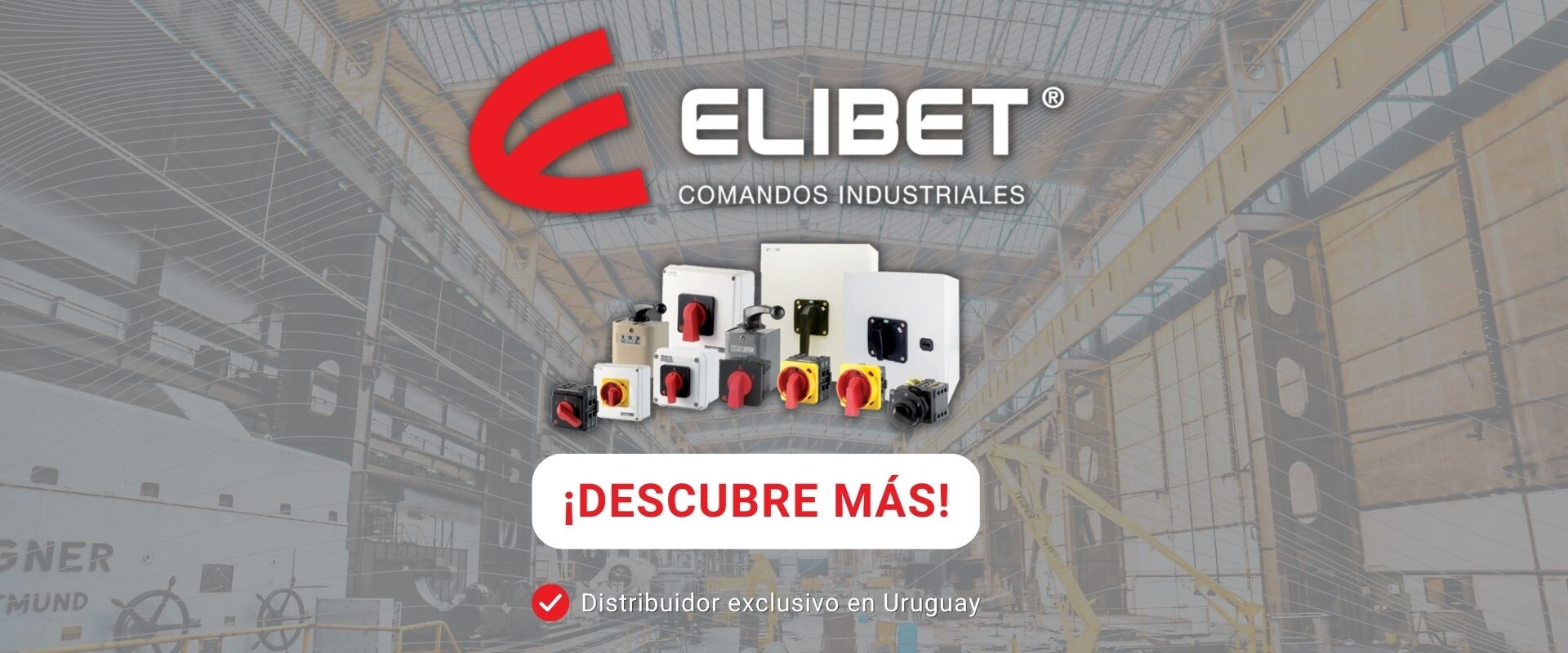 Banner Elibet