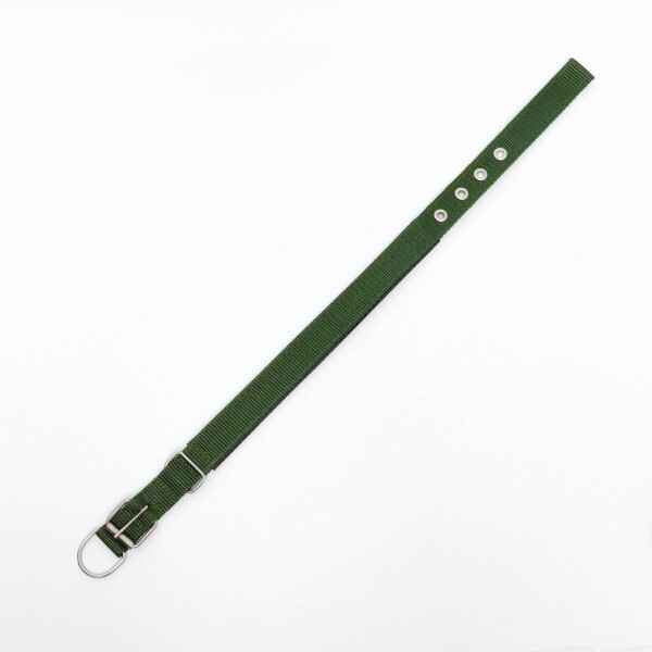 Collar Ajustable Reforzado Hebilla Nylon Perro Gato Mediano Variante Color Verde