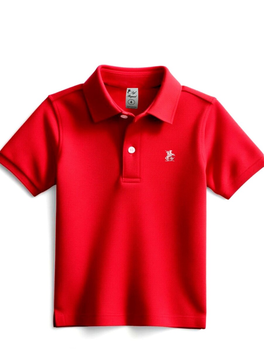 Remera tipo polo online