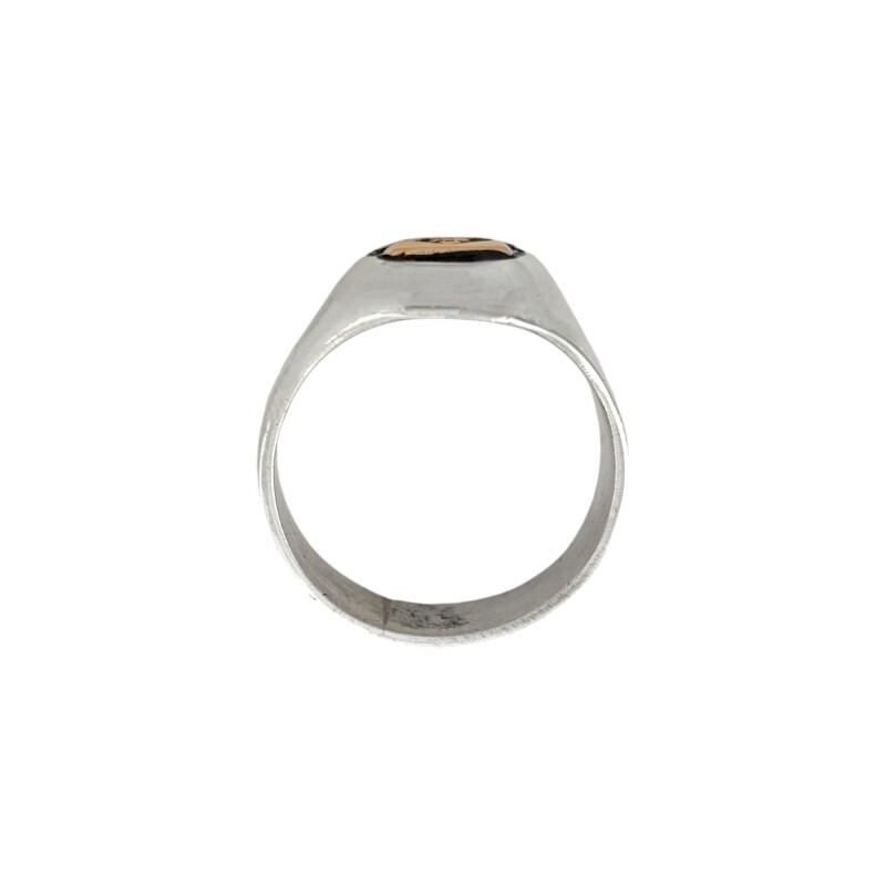 Anillo Profesión Contador - Plata y Oro-Sin Piedra-AP5045 ap5045