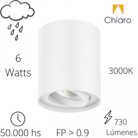Aplique spot led 6w cilindro de techo cálido BLANCO