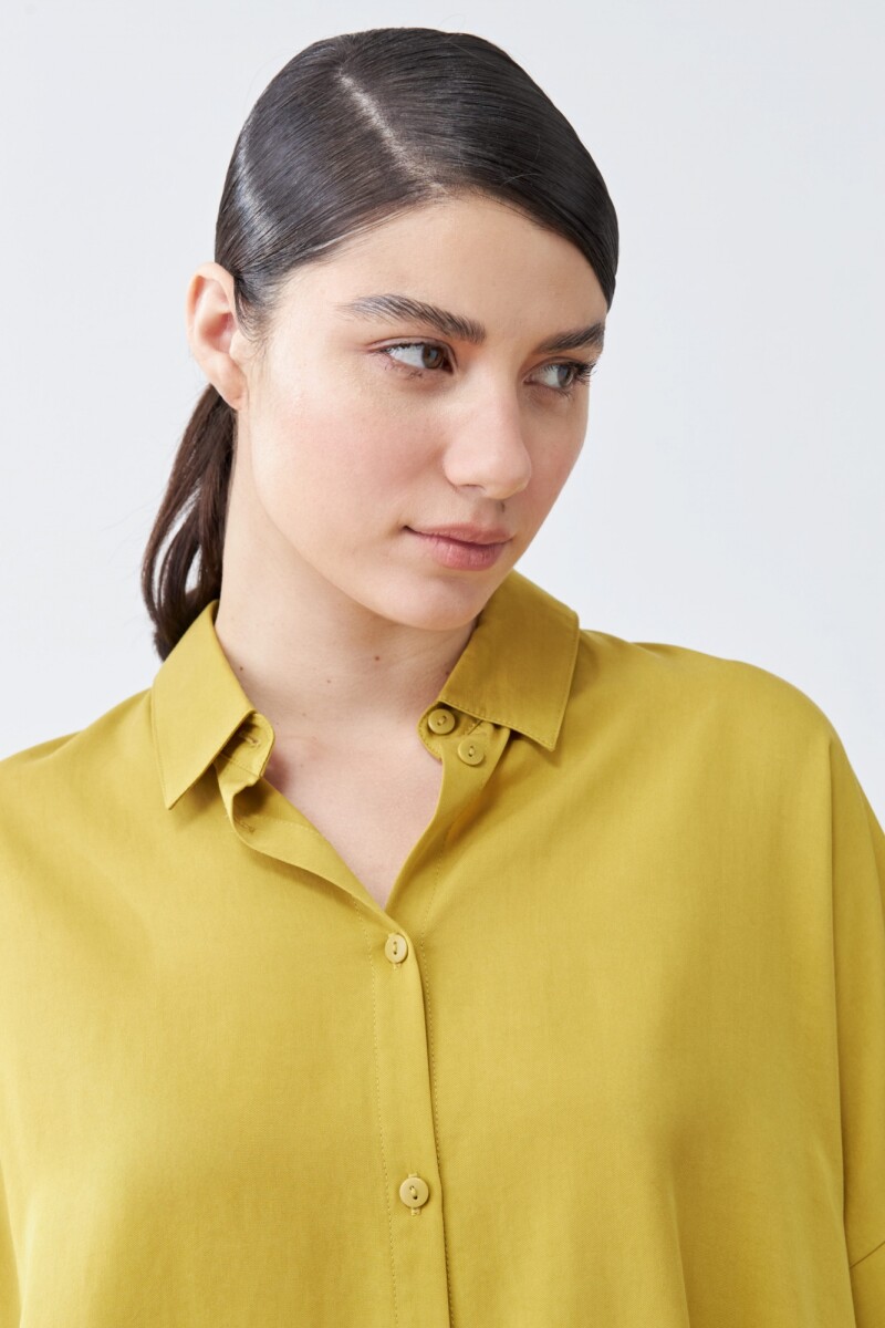 Camisa de lyocell manga corta pistacho