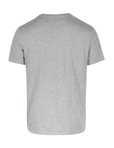 Remera O'Neill Logo Men Gris