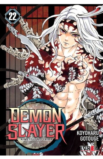 Demon Slayer 22 Demon Slayer 22