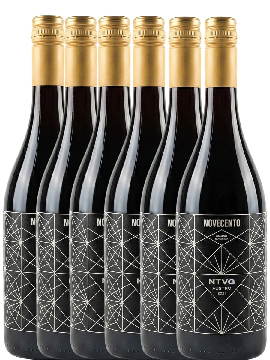 Promo Novecento Austro NTVG 