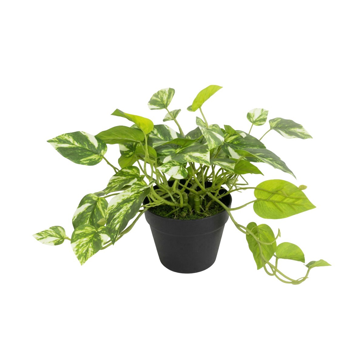 PLANTA ARTIF C/MACETERO PLAST 28CM 
