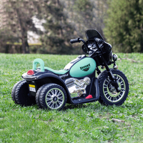 Moto A Batería Triciclo C/ Reversa Luz Sonido Música Verde