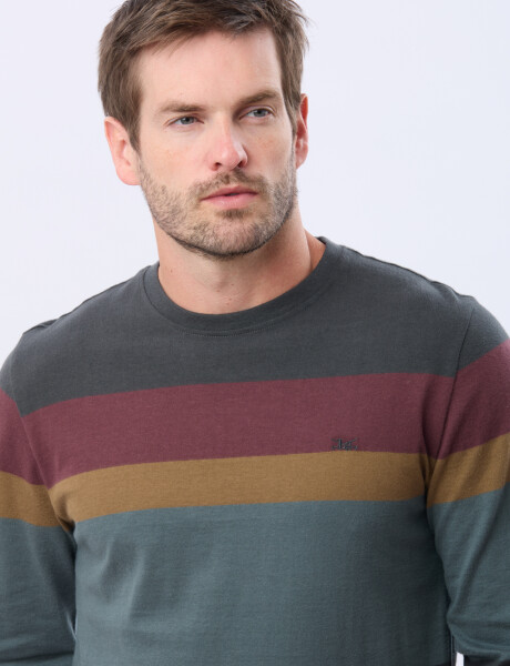 REMERA RAYADA DE ALGODÓN GRIS