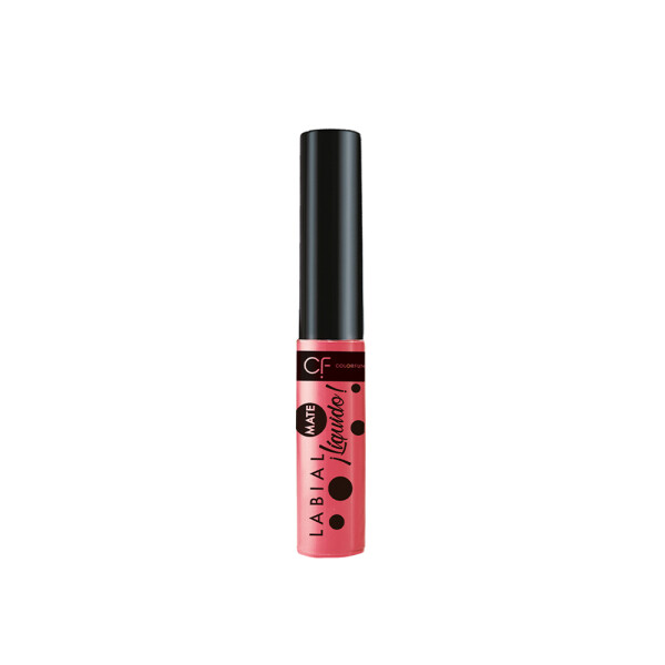 LABIAL LIQUIDO EFECTO MATE COLORFUN FROSTY