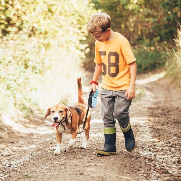 Correa Retractil Extensible 5 Mts Cinta Perro Mediano 15kg Variante Color Celeste