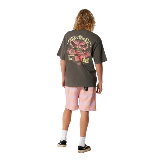 Remera Critical Slide Madness - Gris Remera Critical Slide Madness - Gris