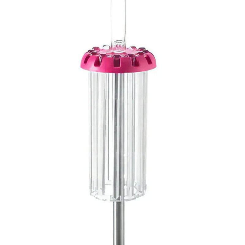 Secapasta Fucsia Pastalinda Secapasta Fucsia Pastalinda