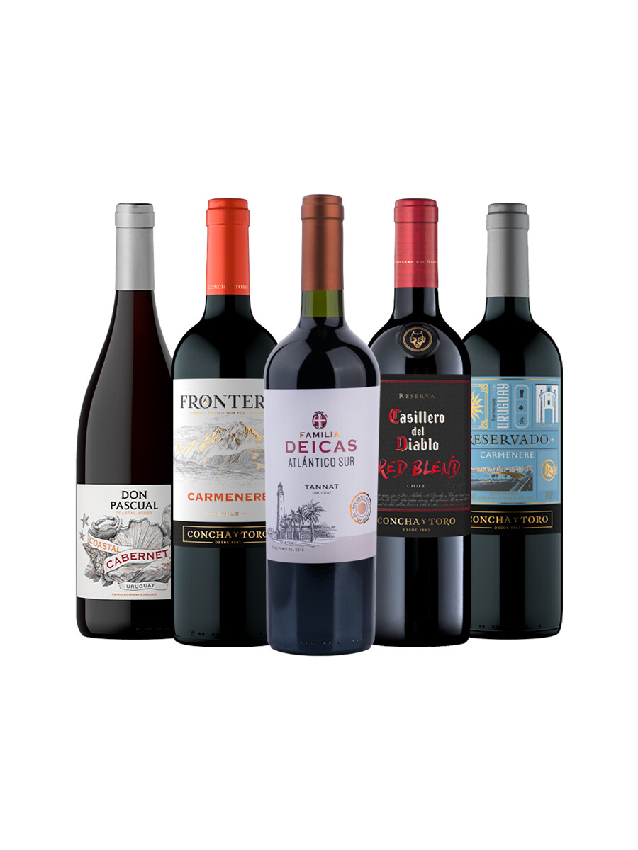 Pack Bacán Selección Mundialista x5 vinos Primer Brindis Pack Bacán Selección Mundialista x5 vinos Primer Brindis