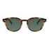 Lentes de Sol Chilli Beans Lausana Animal Print - Verde