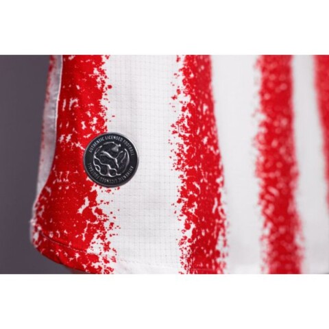 Camiseta Puma Paraguay Oficial Home 2026 M