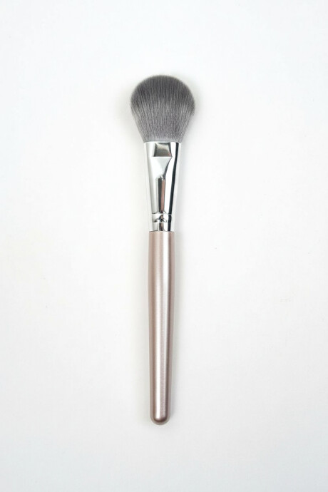 Brocha Pro Color Unico