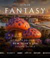Fantasy NYE at Open Park Backstage +23