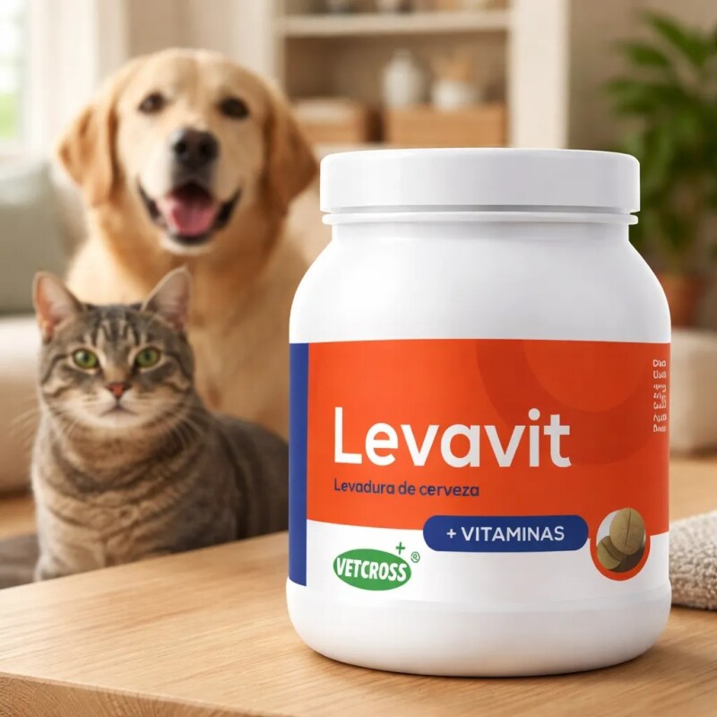 LEVAVIT TABLETAS X FRASCO DE 60 COMPRIMIDOS