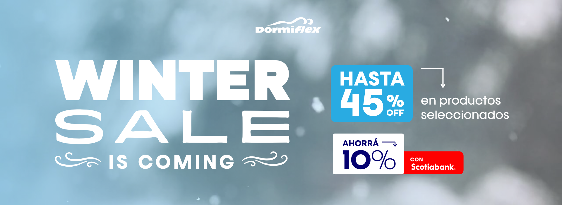 wintersale