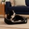 Cama Para Perro Grande Tamaño XL Negro