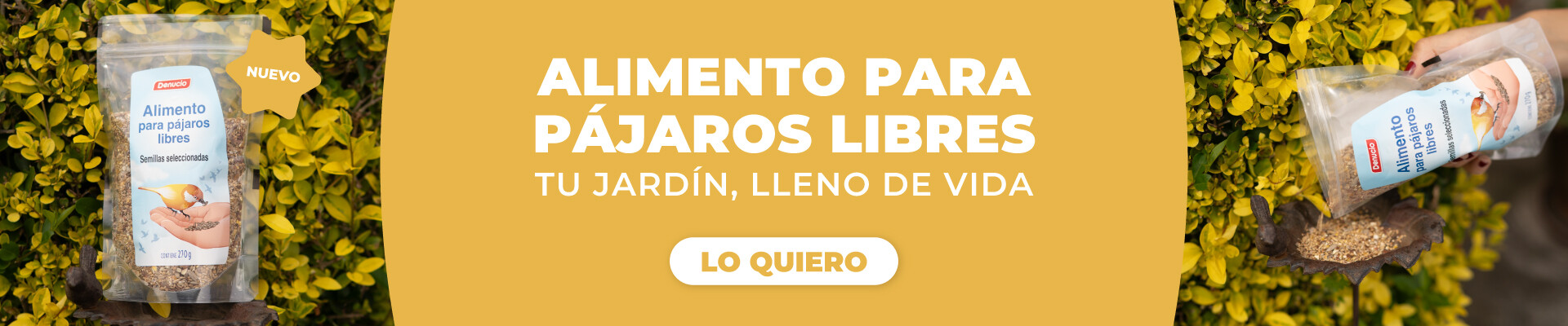 alimento pajaros libres