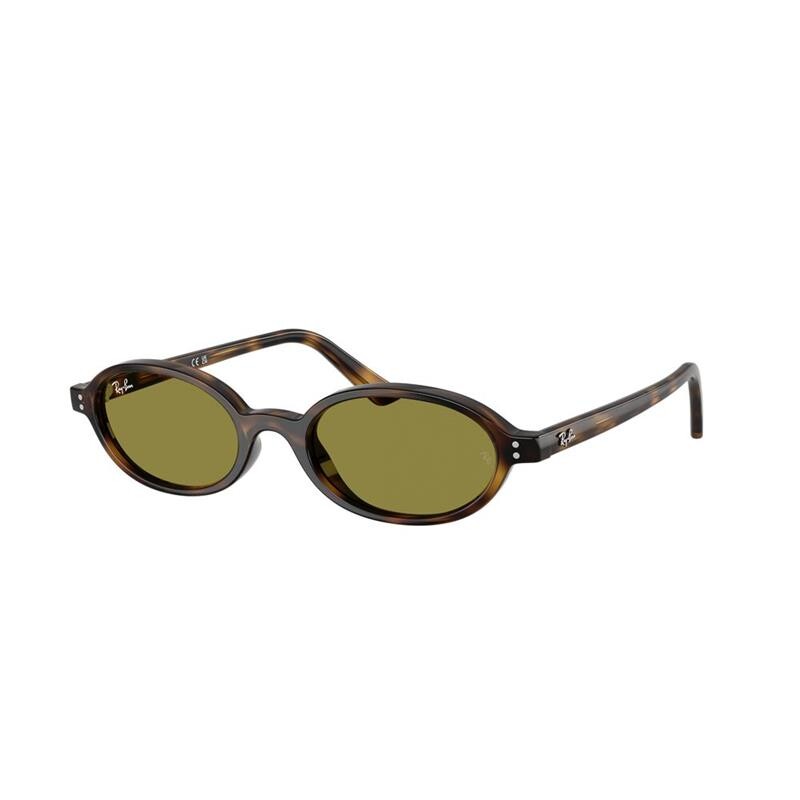 Ray Ban Rb4472 1359/2