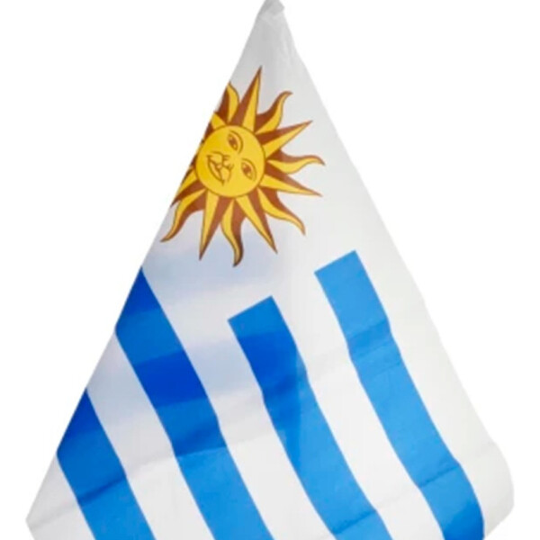 Bandera Banderin Uruguay Auto 30cm X 45cm Oficial Calidad Bandera Banderin Uruguay Auto 30cm X 45cm Oficial Calidad