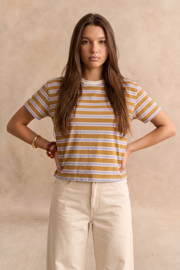 Remera Rayada Algodón Multi