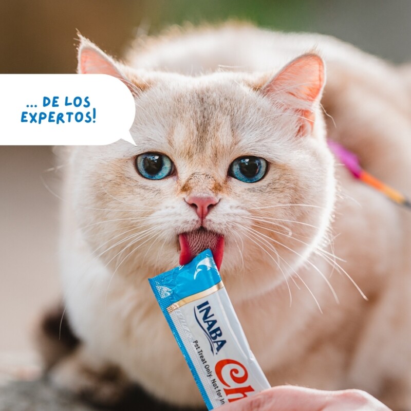 CHURU SNACK HUMEDO ATUN CON VIEIRA PACK X 4 TUBOS