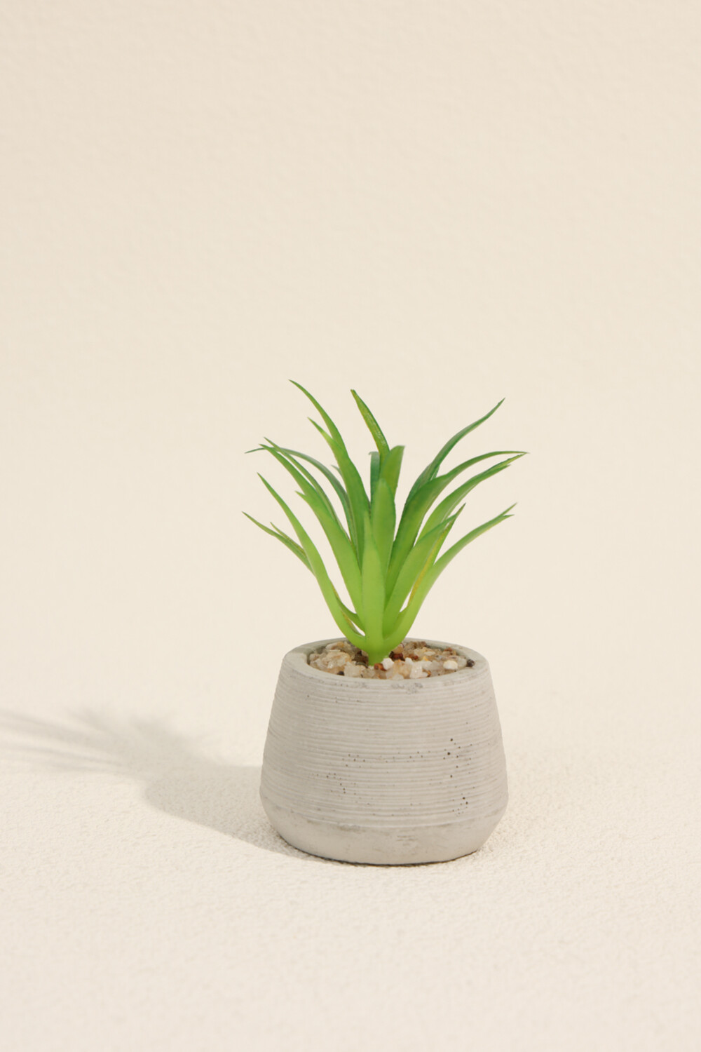 Planta Suculenta 694 Mini, Mix Color Unico