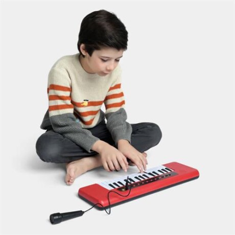 Piano órgano instrumento musical Sc