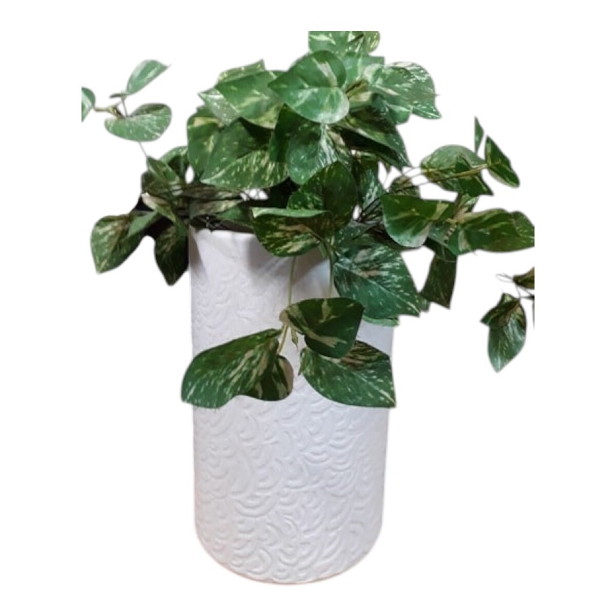 Macetón Plástico 25x39 cm 