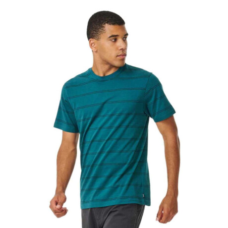 Remera Rip Curl Plain Stripe Verde a Rayas