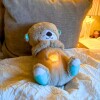 Nutria cunero con respiracion y musica beige