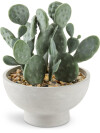 Planta artificial GILLIAN Ø20xA22cm con maceta Planta artificial GILLIAN Ø20xA22cm con maceta