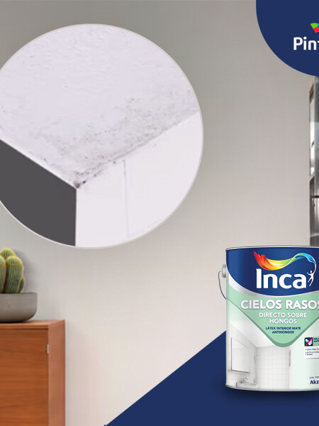 INCA CIELOS RASOS DIRECTO SOBRE HONGOS - 20 LTS N/A