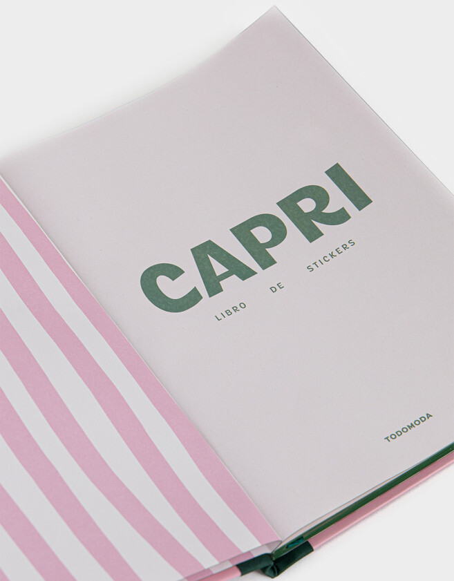 Anotadores Cuadernos y Memos Libro De Stickers Journaling - Rosa Claro