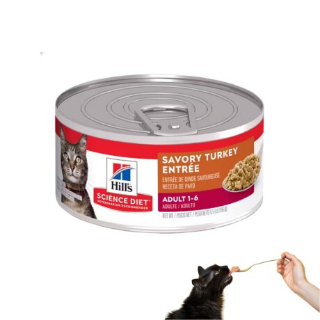 HILLS FELINE ADULT SAVORY TURKEY ENTREE 156 G Hills Feline Adult Savory Turkey Entree 156 G
