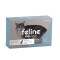 FELINE FULL SPOT MAS DE 5 KG