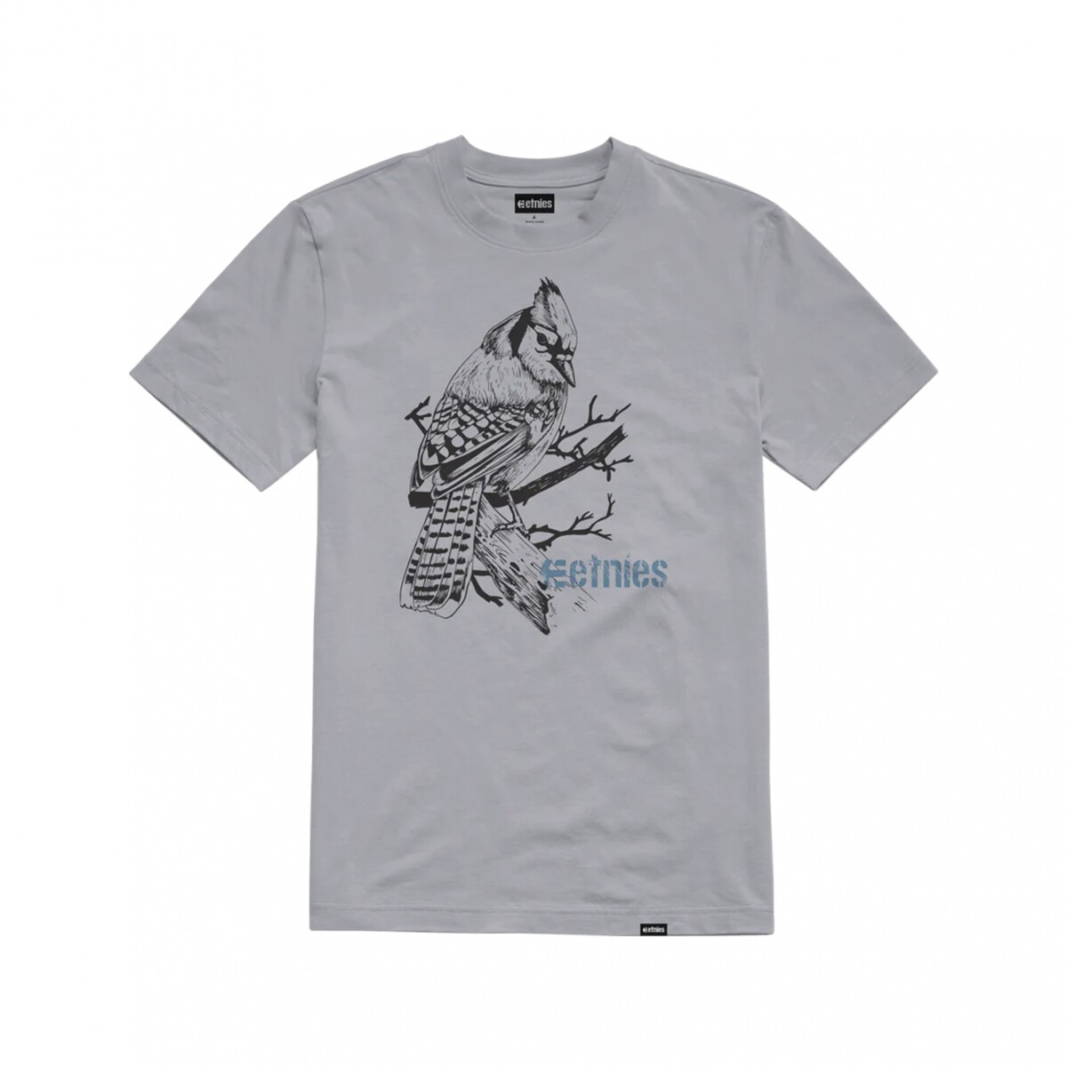 ETNIES BIRD SERIES - Grey 