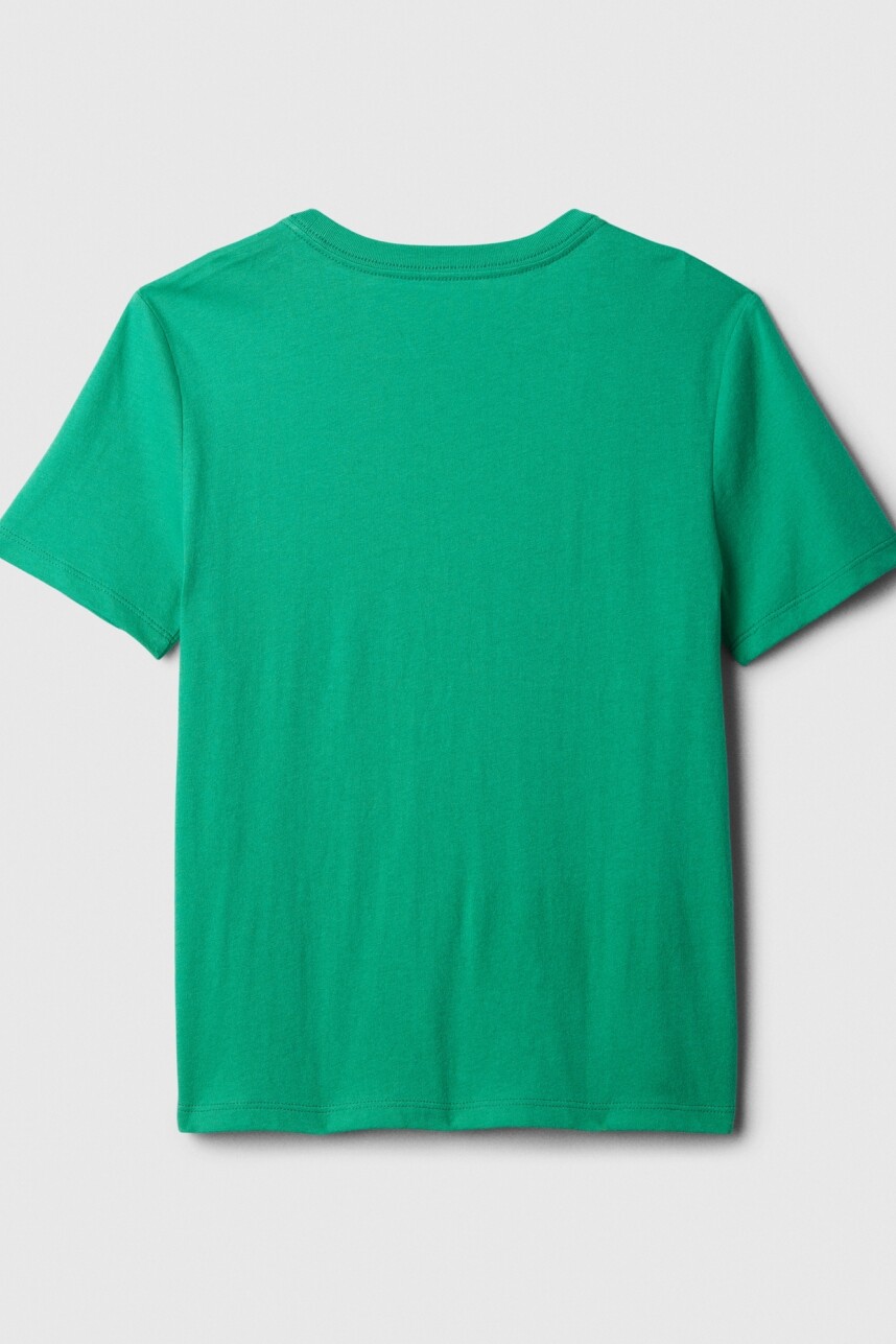 Remera Gràfico Manga Corta Niño Simply Green 17-5936