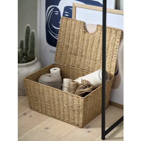 Caja Espen A40Xl27Xa19Cm Con Tapa