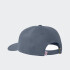 Gorro Dickies Low Pro Logo Dad Azul