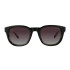Azzaro 33097 col 3 Polarized Azzaro 33097 Col 3 Polarized