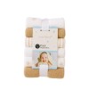 Pack x12 Babitas lavables Tono canela