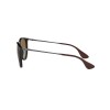 Ray Ban Rb4171 Erika 710/t5